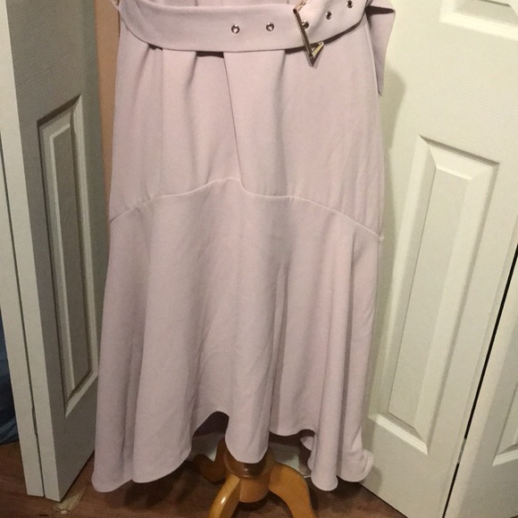 New Ted Baker Light Pink MIDI Dress… size 5 - Picture 3 of 8